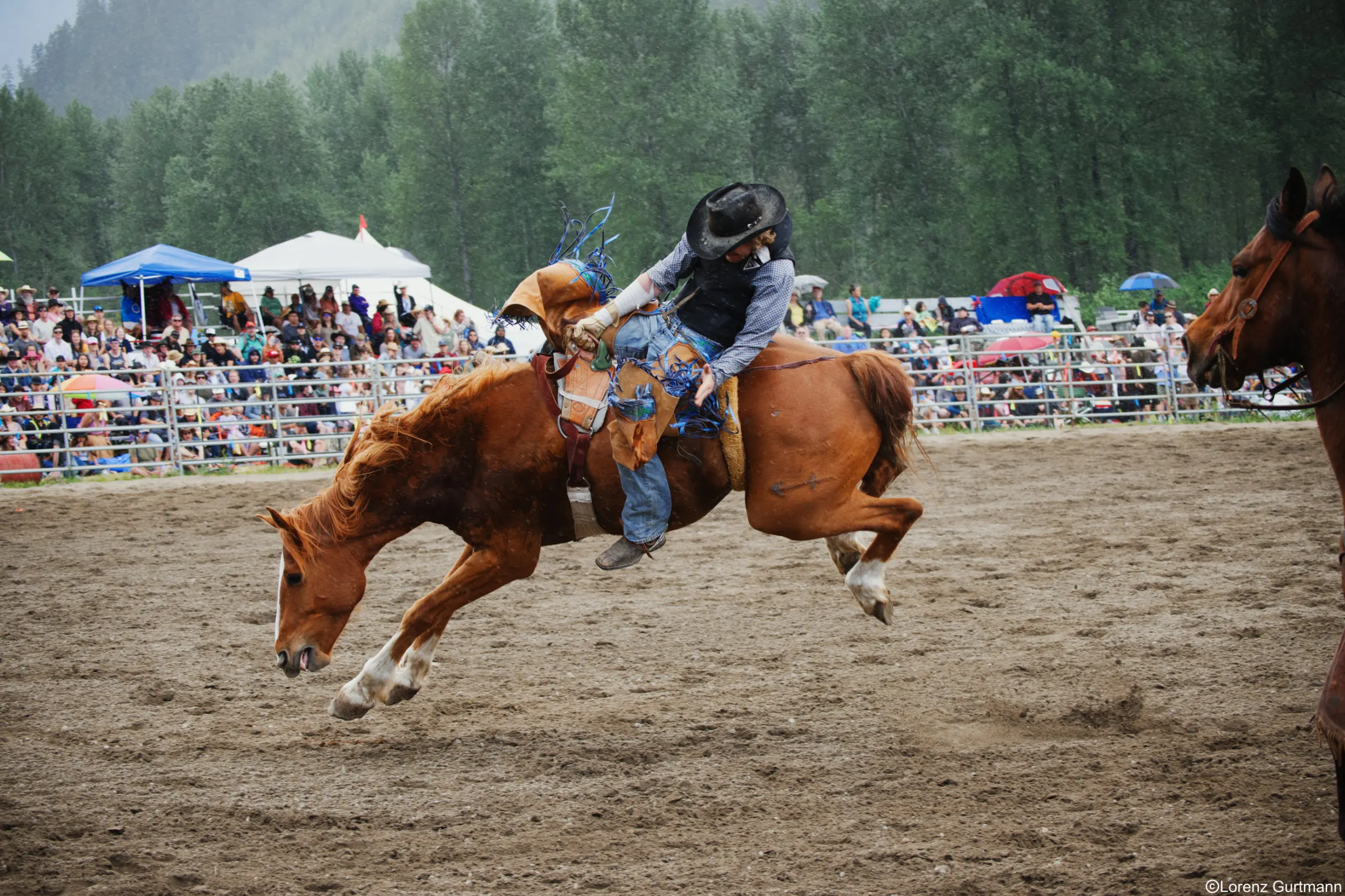 Kanada Rodeo